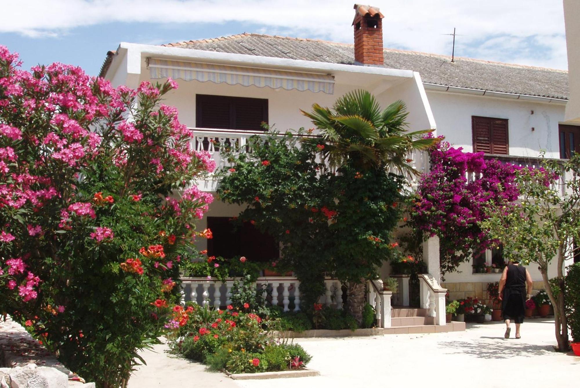 Apartments With A Parking Space Povljana, Pag - 228 Exterior foto